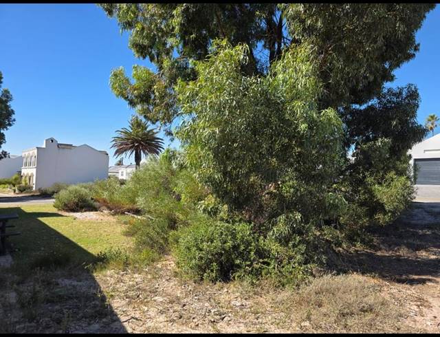 LAND FOR SALE IN SHELLEY POINT